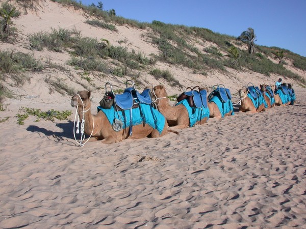 Cable Beach